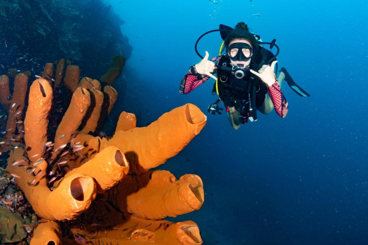 Sanctum Una Una Eco Dive Resort Pulau Unauna Kültér fotó