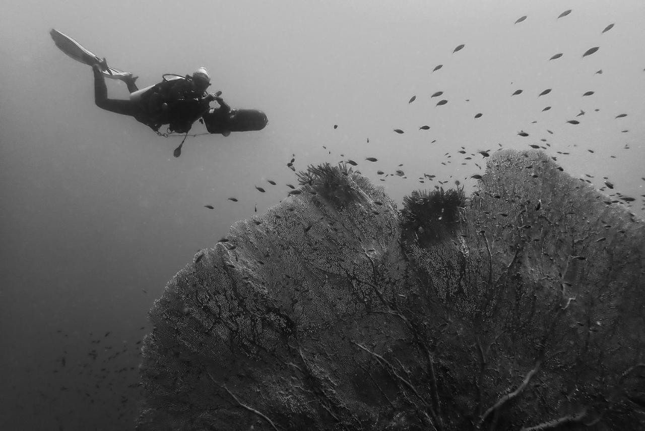 Sanctum Una Una Eco Dive Resort Pulau Unauna Kültér fotó
