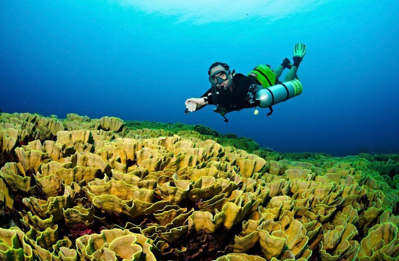 Sanctum Una Una Eco Dive Resort Pulau Unauna Kültér fotó